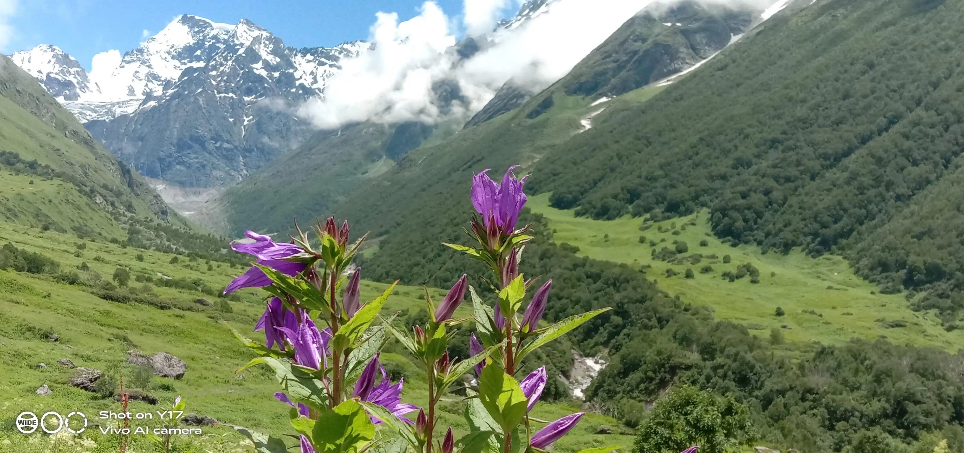 Valley of Flowers route photograph 5