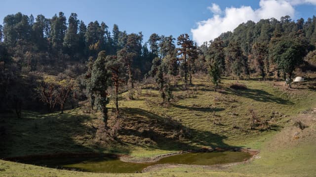 En route to Dayara Bugyal at Gui camp 01.jpg