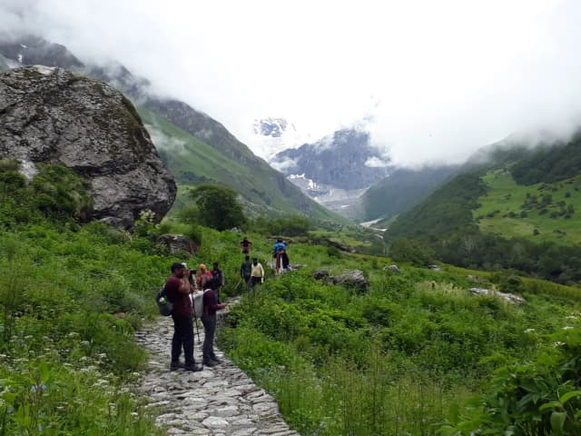 Valley of Flowers photograph